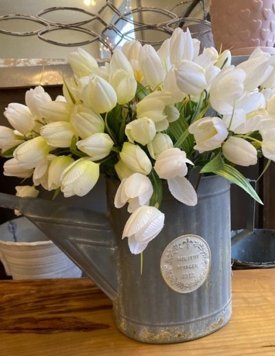 white tulips in watering